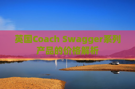 英国Coach Swagger系列产品的价格解析 英国Coach Swagger系列产品的价格解析