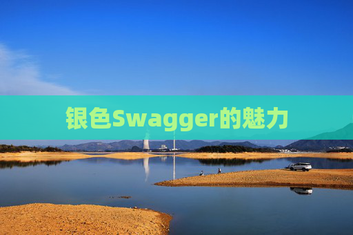 银色Swagger的魅力